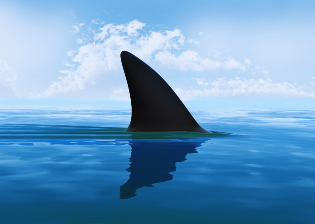 Shark fins